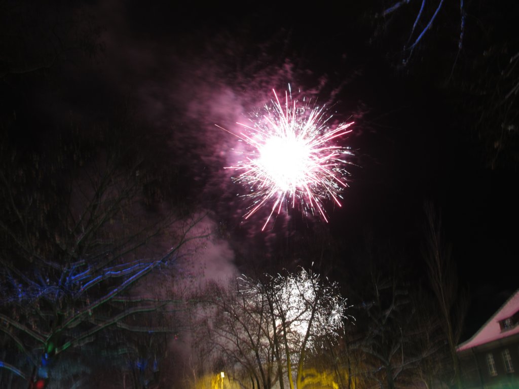 img_5110.jpg